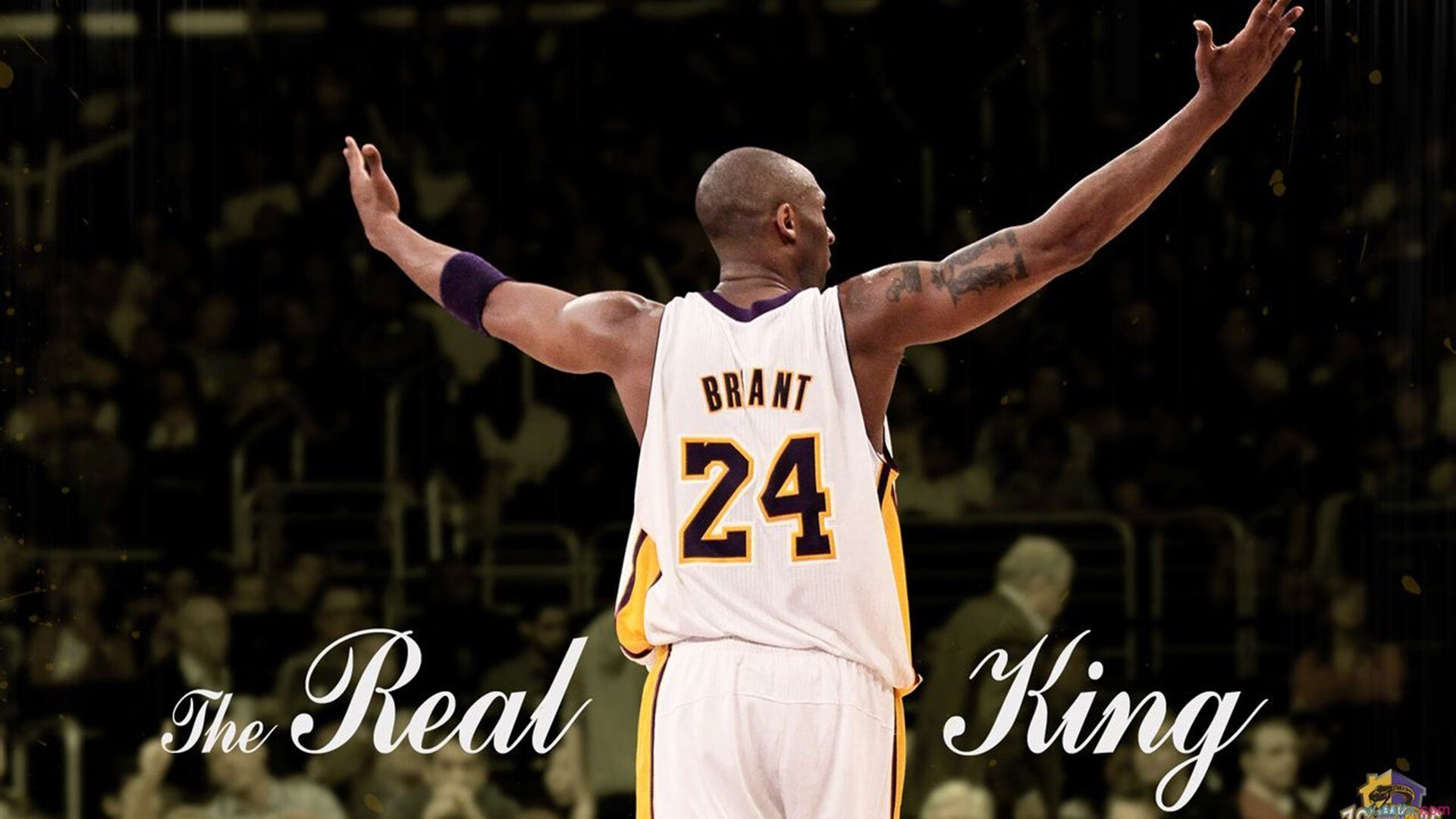 今年联盟中篮板最多的球员是谁?,联盟篮板榜